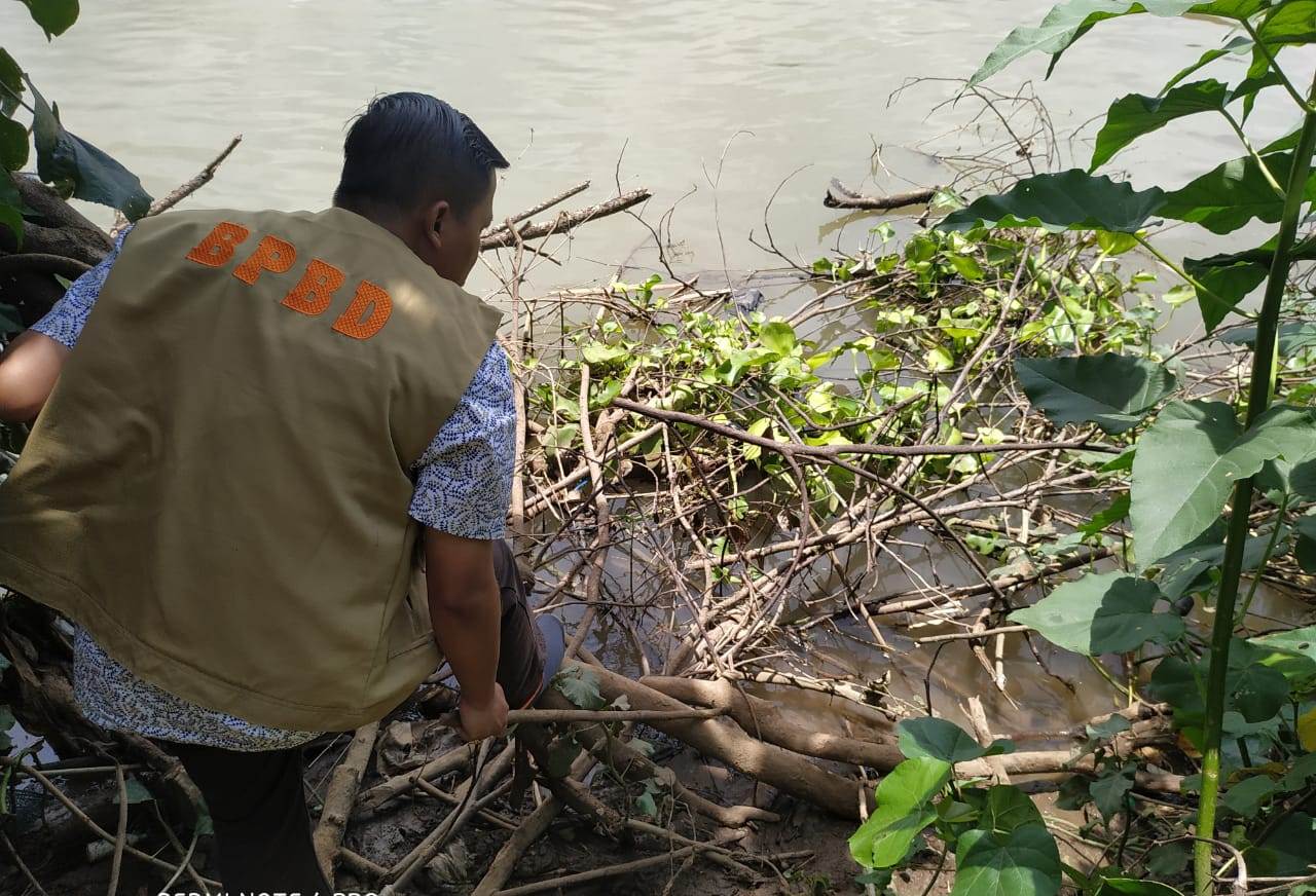 BKSDA blusukan mencari buaya muara yang dilaporkan muncul di Sungai Brantas, Kediri. (Foto;fendy/ngopibareng.id)