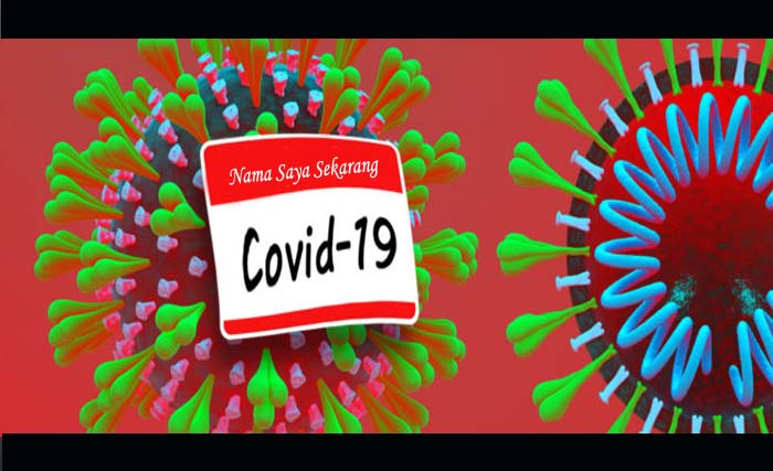 Nama Resmi virus corona; COVID-19. (Foto:Futurism)