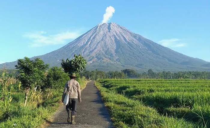 Gunung Semeru, di Jawa Timur. (Foto:Antara)