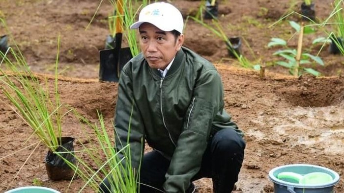 Presiden Joko Widodo (Jokowi) menanam akar wangi atau vetiver di hulu Waduk Gajah Mungkur Wonogiri, Sabtu 15 Februari 2020. (Foto: Setkab.go.id)