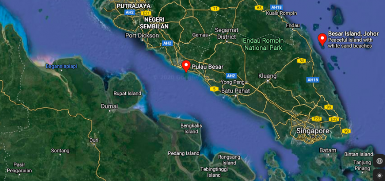 Celeng dari Sumatera (kiri) harus berenang lebih dari 60 km untuk sampai di Pulau Besar yang masuk wilayah Negara Bagian Melaka, Malaysia.