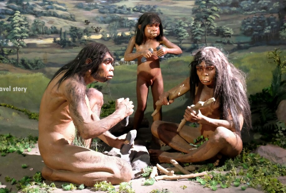 Diorama manusia purba yang diambil dari Situs Manusia  Purba Sangiran Sragen. (Foto: Asmanu Sudharso/Ngopibareng.id)