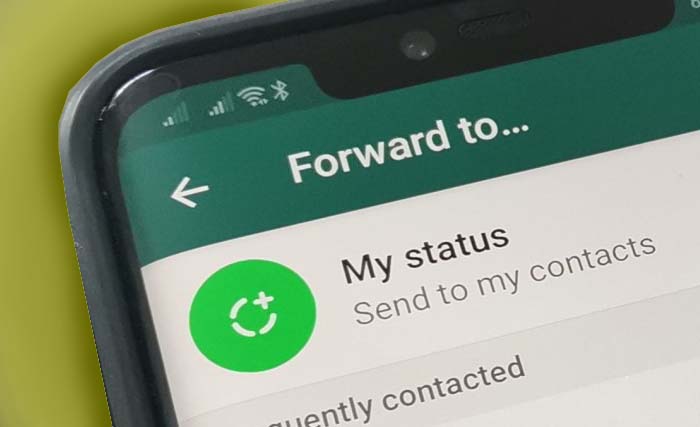 Forward WhatsApp kini hanya bisa ke satu chat. (Ngopibareng)