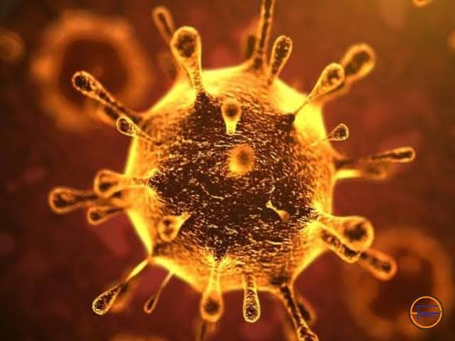 Ilustrasi virus corona. (Foto: Istimewa)