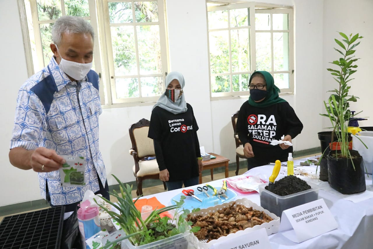 Gubernur Jawa Tengah beserta istri saat meninjau tanaman empon-empon di lahan sempit. (Foto: Ist/Ngopibareng.id)