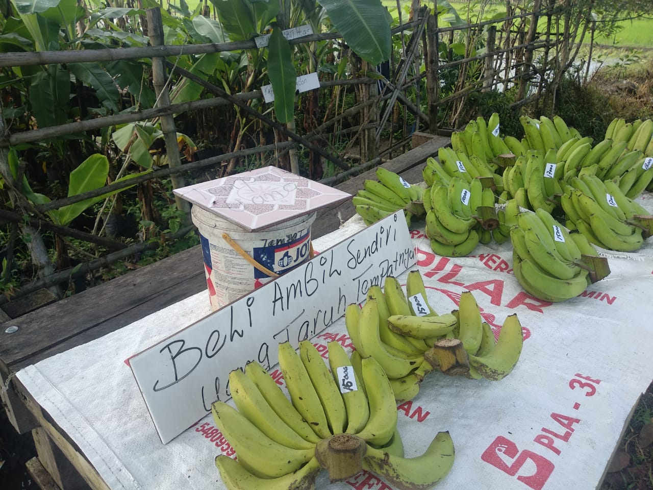 Stan jualan pisang tanpa ditunggu pemiliknya di desa Keras Kecamatan Diwek Kabupaten Jombang (Foto: M. Rizqi/Ngopibareng.id)