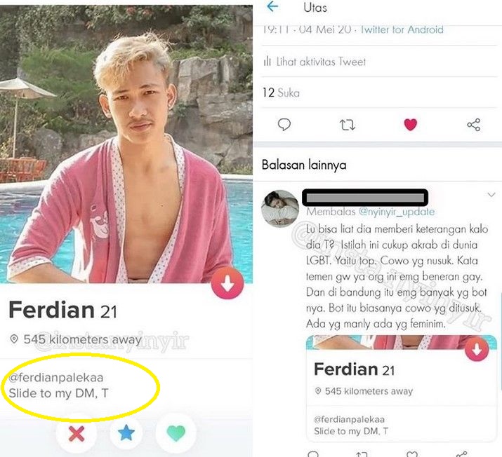 YouTuber Ferdian Paleka diduga penyuka sejenis alias gay dengan membubuhkan kode "T" di link biodatanya. (Foto: Instagram)