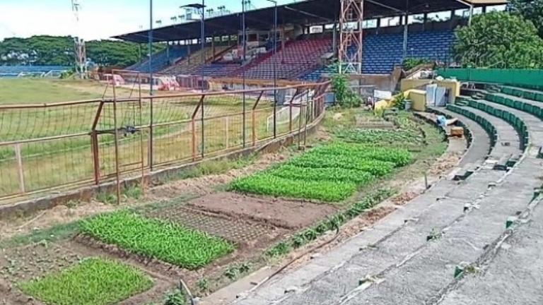 Wajah baru markas PSM di Stadion Andi Mattalatta Mattoanging, Makassar, setelah tak dipakai beralih fungsi jadi kebun sayur. (Foto: Instagaram @redgank_psm)