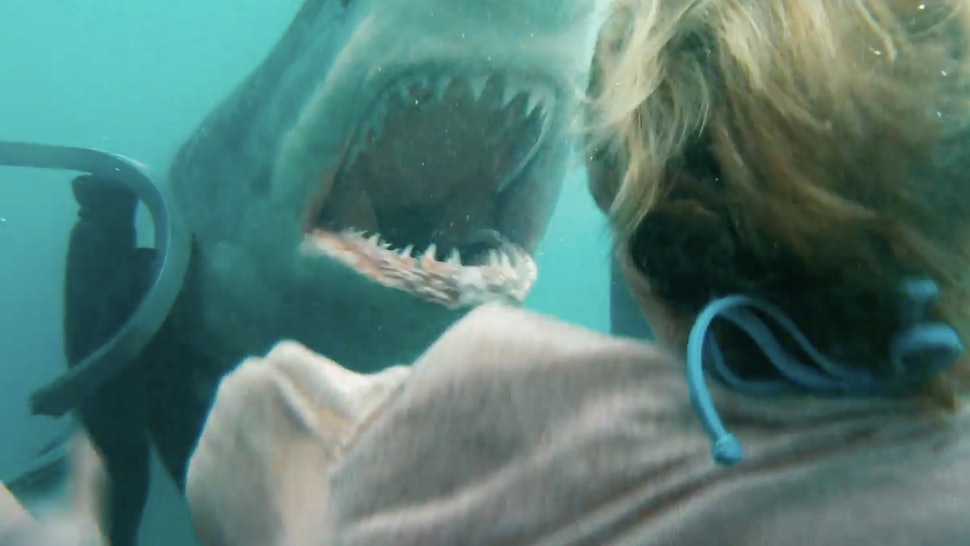 Poster Film Shark Night (Foto: youtube.com)