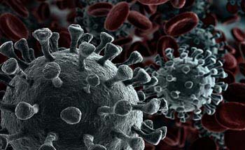 Ilustrasi corona virus. (Foto:Istimewa)