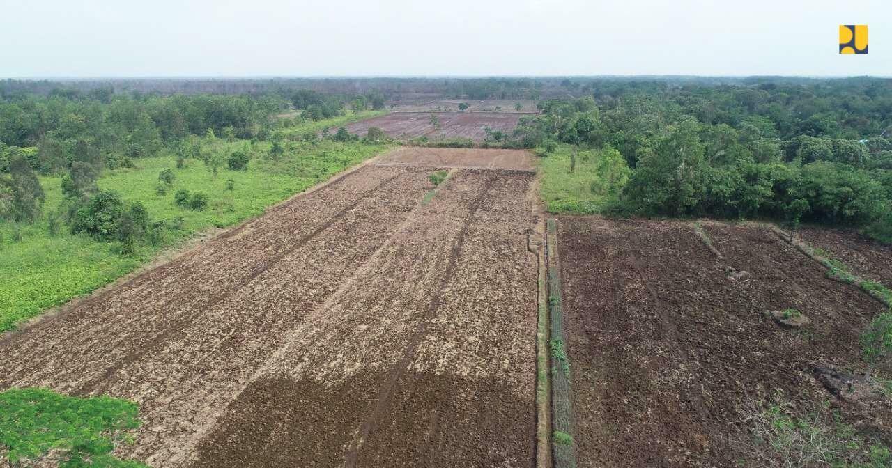 Kementerian PUPR merehabilitasi lahan di Rawa Belanti untuk lumbung pangan nasional. (Foto: Kementerian PUPR)