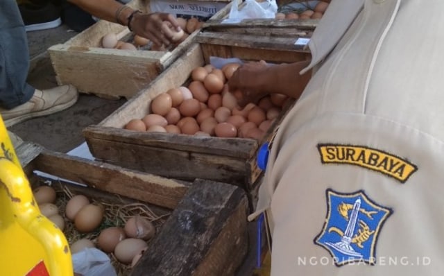 Ilustrasi sidak harga telur di pasar Surabaya. 