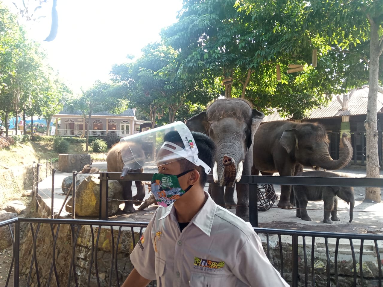 Zoo keeper di Batu Secret Zoo dilengkapi dengan face shield dan masker sebagai penerapan protokol kesehatan Covid-19 (Foto: Lalu Theo/ngopibareng.id)