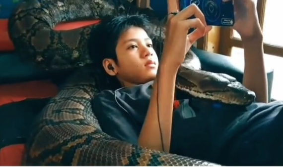 Remaja laki-laki bermain game ditemani ular piton (Foto: Dok @makassar_iinfo)