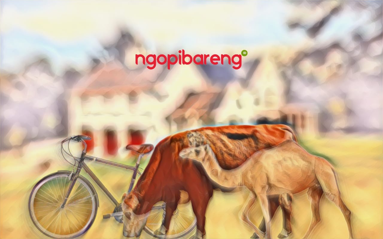 Ilustrasi hewan unta, sapi dan sepeda. (Grafis: Fa Vidhi/Ngopibareng.id)