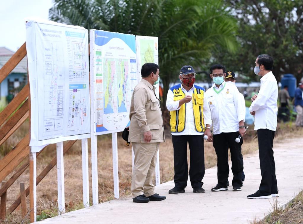 Presiden Joko Widodo bersama beberapa menteri meninjau  lokasi lumbung pangan nasional di Kalimantan Tengah. (Foto: Setpres)
