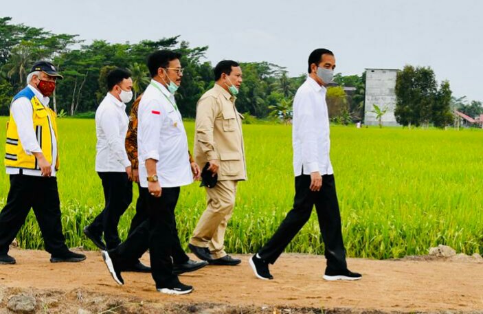 Presiden Joko Widodo saat meninjau lumbung pangan baru di Pulang Pisau, Kalimantan Tengah. (Foto: Setpres)