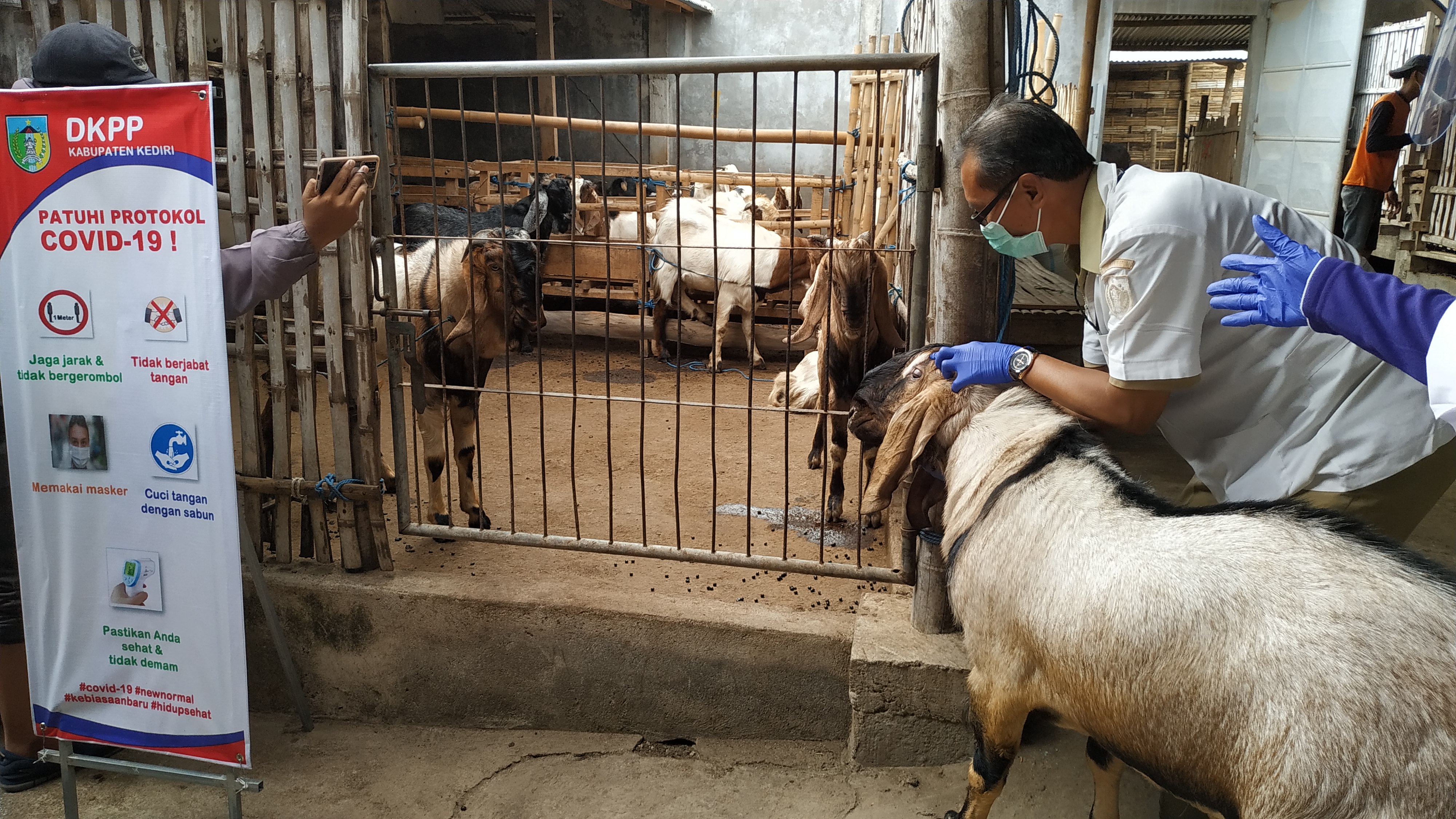 Tim Dinas Ketahanan Pangan dan Peternakan cek penetapan protokol kesehatan pedagang hewan kurban. (Foto: Fendhy Plesmana/Ngopibareng.id)