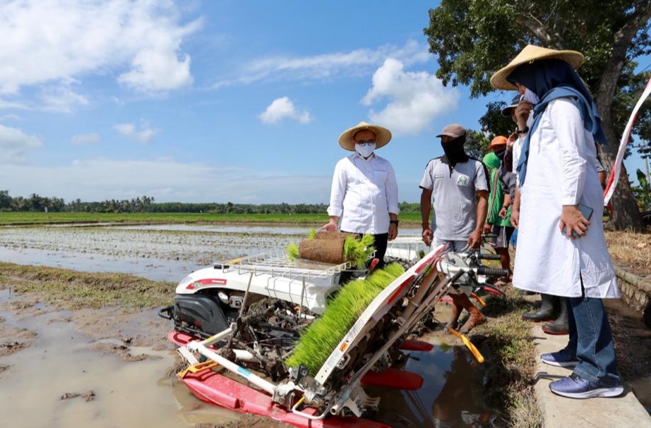 Bupati Banyuwangi Abdullah Azwar Anas melihat penggunaan mesin penanam padi. (Foto: Istimewa)