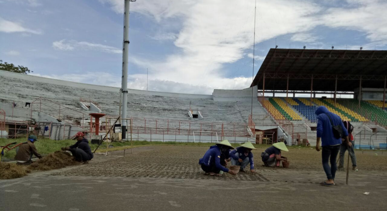 Proses perawatan rumput rekomendasi FIFA di Gelora 10 November. (Foto: Istimewa)