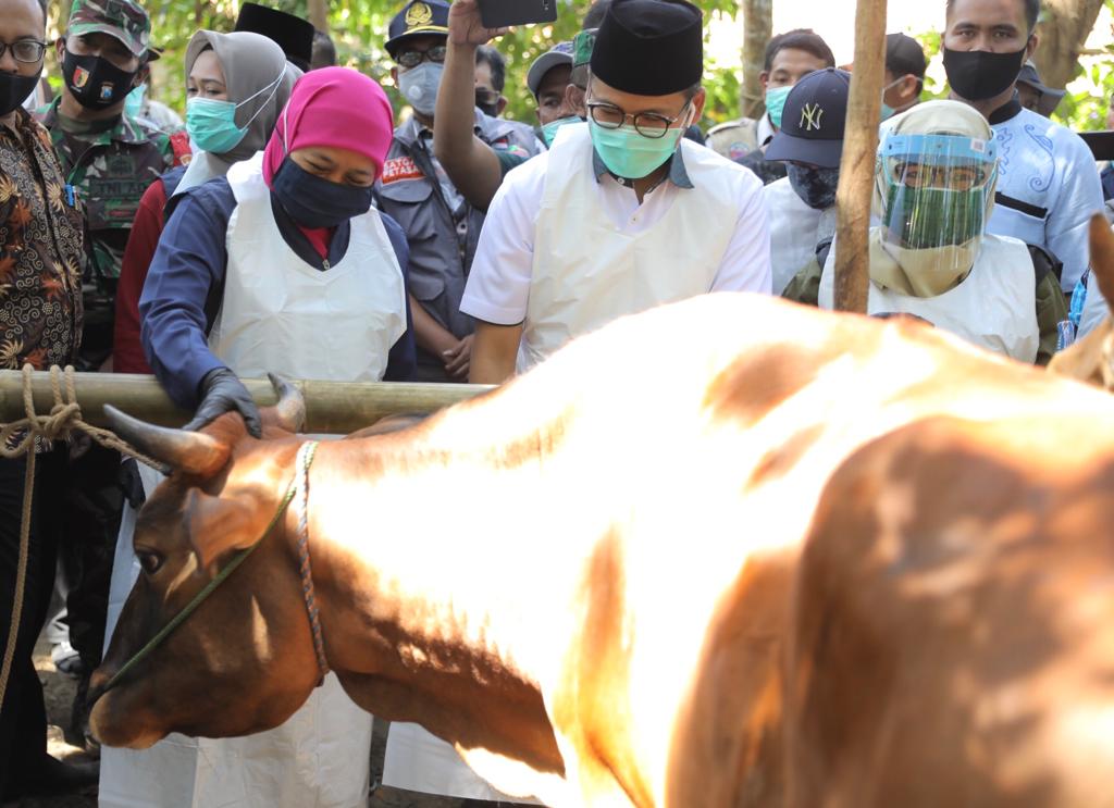 Gubernur Jatim, Khofifah Indar Parawansa saat meninjau salah satu peternakan di Madura beberapa waktu lalu. (Foto: Istimewa)