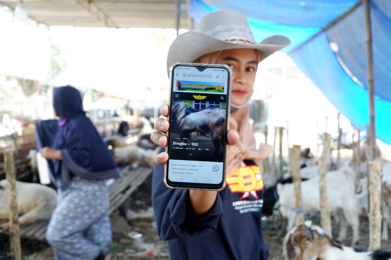 SPG kambing di Malang ketika menunjukkan website penjualan online Sumber Barokah Farm. (Foto: Lalu Theo/Ngopibareng.id)