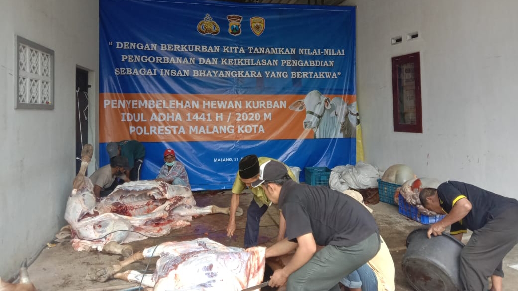 Proses penyembelihan hewan kurban di Mapolresta Malang Kota (Foto: istimewa)