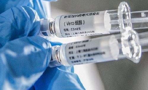 Vaksin SinoVac asal China mulai diuji klinis Bio Farma. (Foto:Istimewa)