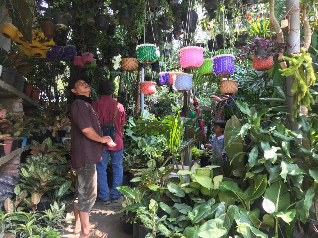 Warga Malang saat melihat berbagai jenis tanaman di Pasar Splendid (Foto: Lalu Theo/Ngopibareng.id)