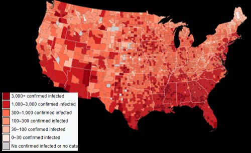 Peta wabah di Amerika Serikat dengan total infeksi yang dikonfirmasi per 100.000 orang per 12 Agustus 2020. (Foto:Reuters)