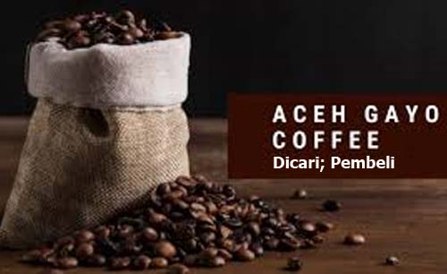 Ilustrasi kopi gayo Aceh, sepi pembeli. (Foto:Barista)