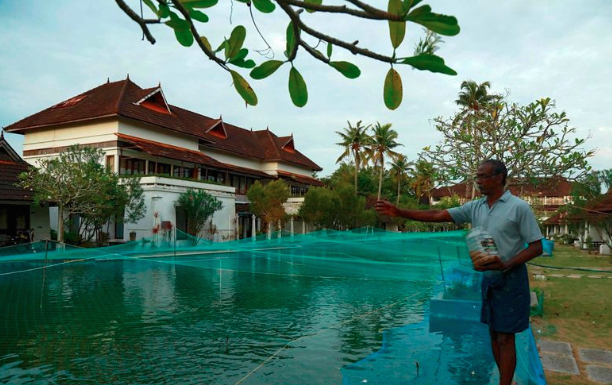 Kolam mewah di Aveda Resort dan SPA Kumarakom India yang beralih fungsi jadi kolam ikan Mutiara (Foto: Dok Facebook The Australian)