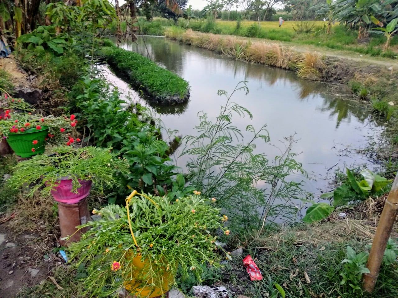 Kolam buatan dan taman bunga di area Kafe Kandang Sapi. (foto: M. Rizqi/Ngopibareng.id)