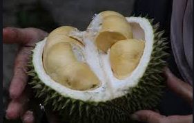 Buah Durian. (Foto: Pxhere)