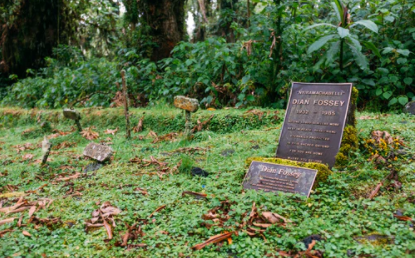 Ilustrasi makam di Rwanda. (Foto:unsplash.com)