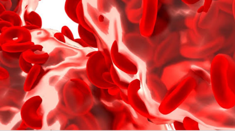 Ilustrasi sell darah merah  (foto: Need Pix)