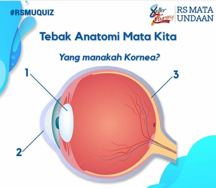 Anotomi bagian mata, yakni kornea mata. (Foto: Dokumentasi: Rumah Sakit Mata UndaanSMU)