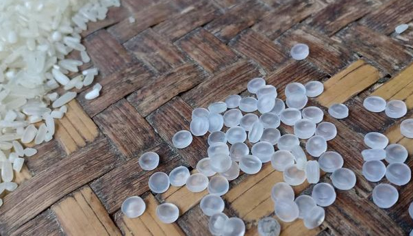 Penampakan butiran plastik yang bercampur Beras Bantuan Pangan Non Tunai (BPNT). (Foto: Dok. Puskesmas Bojongpicung) 
