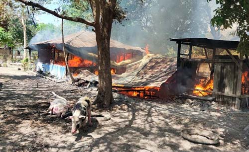 Tujuh unit rumh terbakar dan satu orang tewas akibat bentrok dua kelompok warga di Kupang, NTT, hari Minggu pagi. (Foto:Antara)