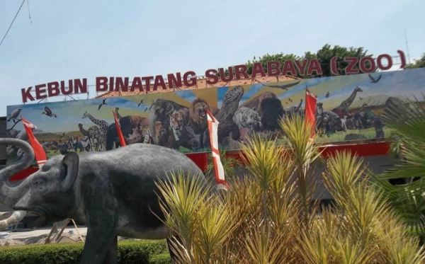 Ilustrasi Kebun Binatang Surabaya. (Foto: Istimewa)