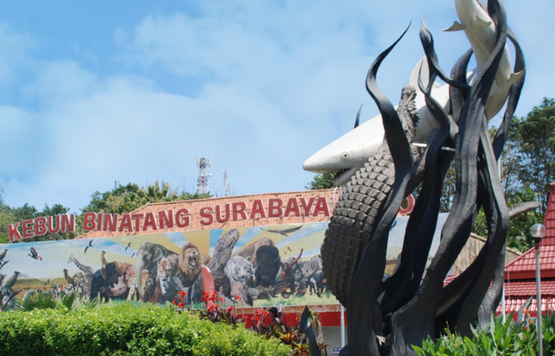 Kebun Binatang Surabaya. (Foto: Istimewa)