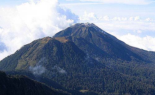 Gunung Arjuno dan Gunung Welirang di Jawa Timur kembali ditutup untuk pendakian. (Foto:Semeru)
