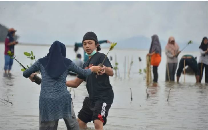  Warga membawa bibit mangrove untuk ditanam di kawasan pesisir Desa Lam Badeuk, Kecamatan Peukan Bada, Kabupaten Aceh Besar, Aceh, Sabtu 28 November 2020. Penanaman bibit manggrove di daerah pesisir itu merupakan program rehabilitasi ekosistem mangrove yang dicanangkan pemerintah dengan target 600.000 hektare dalam tahun 2020-2024. (Foto: Antara/Ampelsa)