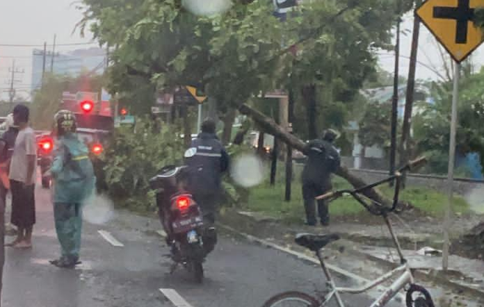 Pohon tumbang di traffic light Siwalankerto, Surabaya, Sabtu 5 Desember 2020 petang. (Foto: Istimewa)