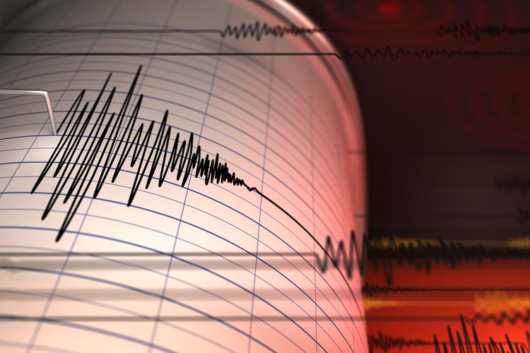 Ilustrasi gempa bumi. Foto: Google)