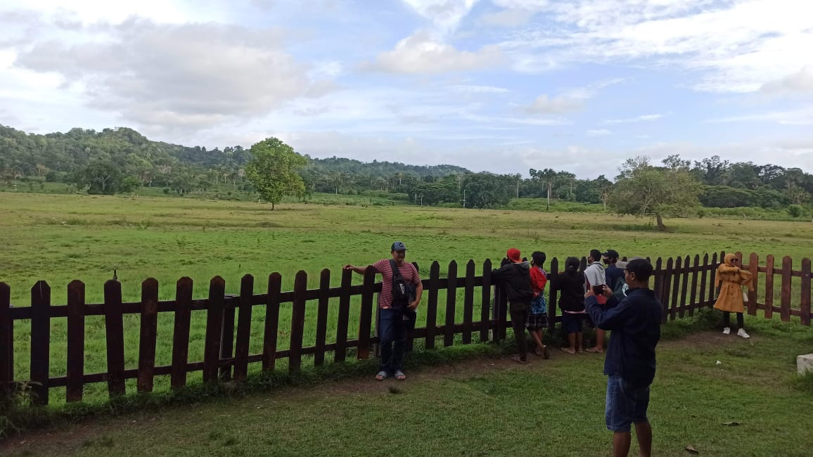 Sejumlah wisatawan menikmati keindahan Savana Sadengan yang berada di Taman Nasional Alas Purwo. Savana Sadengan merupakan salah satu situs yang masuk dala Geopark Ijen, Banyuwangi, Jawa Timur. (Foto: Muh Hujaini/Ngopibareng.id)