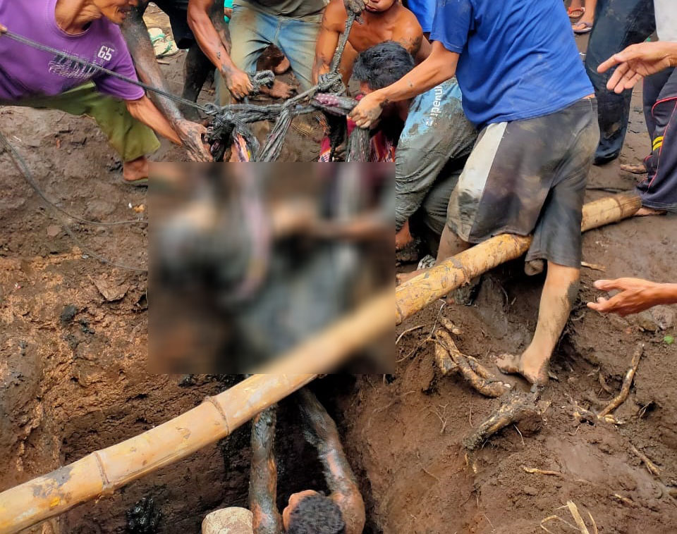 Warga mengangkat jasad Komariah, warga Desa Jrebeng, Kecamatan Wonomerto, Kabupaten Probolinggo dari dalam septic tank. (Foto: Ikhsan Mahmudi/Ngopibareng.id)