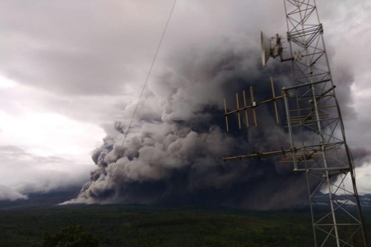 Gunung Semeru erupsi mengeluarkan guguran awan panas. (Foto: Dok PVMBG)