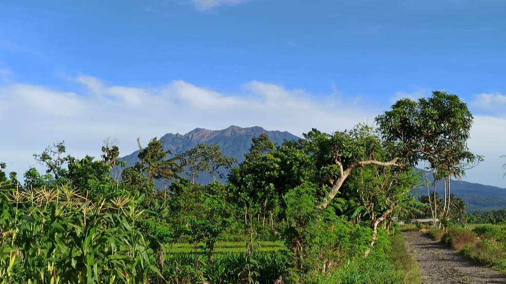 Visual Gunung Raung beberapa hari lalu sebelum terjadi erupsi (foto:Muh Hujaini/Ngopibareng.id)