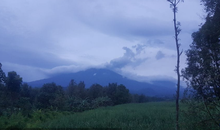 Gunung Raung bergemuruh, namun jaraknya terlalu jauh untuk terdengar di Malang. (Foto:PVMBG)